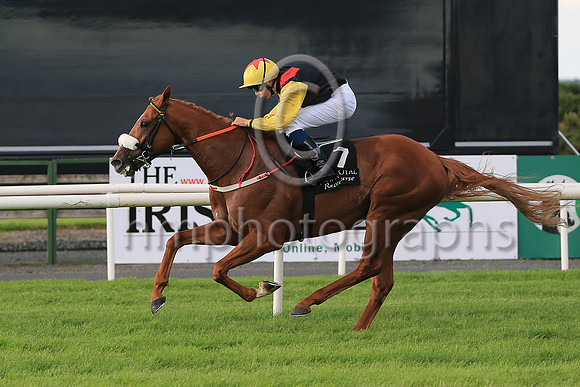 01st The Tartan Spartan  Ronan Whelan (7, black, red epaulettes) Trainer John Patrick Shanahan, Owner Thistle Bloodstock Limited