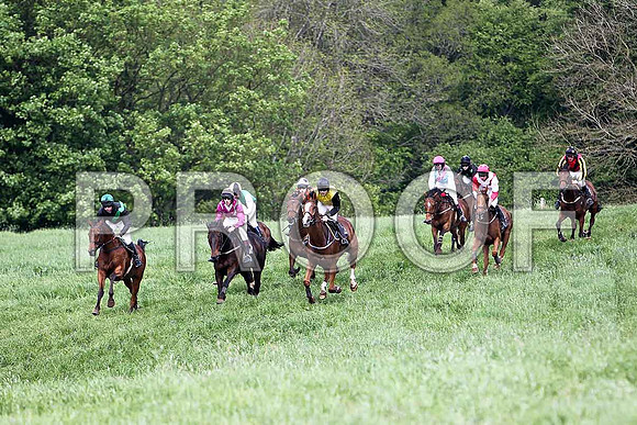 Fourth Race - High Chief (8) PU - in the lead, Rider Ms P O'Neill - CU2D9617-e