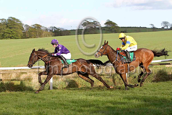 Notnowlove & Mr J C Barry - 8th (5, purple, white star) & So Rustic & D J Condon - 4th (6, yellow, royal blue seams) -FT8E3336-e