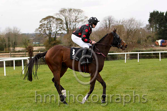 Shabra Emperor & R P treacy - 3rd (3, black, red spots) - FT8E7535-eb