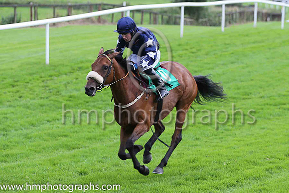 07th Anna Holty and M A Enright ( 10 , dark blue, white stars on sleeves ) Trainer - David Kelly , Owner - Nolan, Ahern, Ryans Syndicate