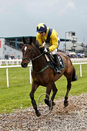 Devil's Elbow & R Walsh (yellow, dark blue sash) - winner - FT8E2871-e