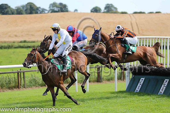 02nd Simiel and D N Russell ( 3 , royal blue, red chevrons ) Trainer - H de Bromhead , Owner - Mainlymedics Syndicate