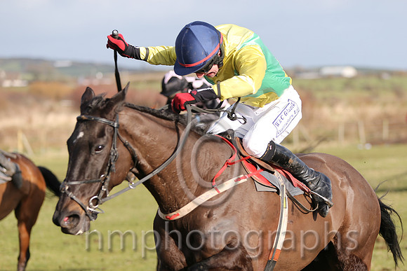 01 Mr Bolt  D H Lavery - Trainer : Sean McParlan, Black and tan check