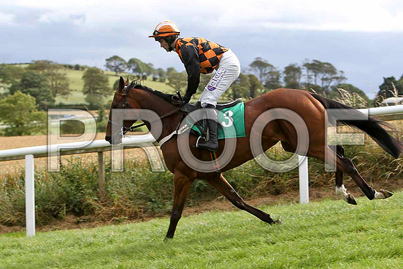 Benefique - 2nd, Jockey B T O'Connell  - FT8E3870-e