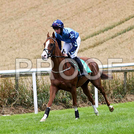Blue Ridge Lane - 5th, Jockey M J Bolger  - FT8E3830-e