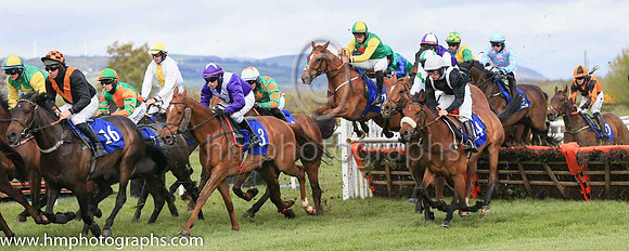 01st Shantou Lucky and Reserve 2 ( 21 , green, red star ) Trainer - G P Cromwell , Owner - Lucky Seven Syndicate