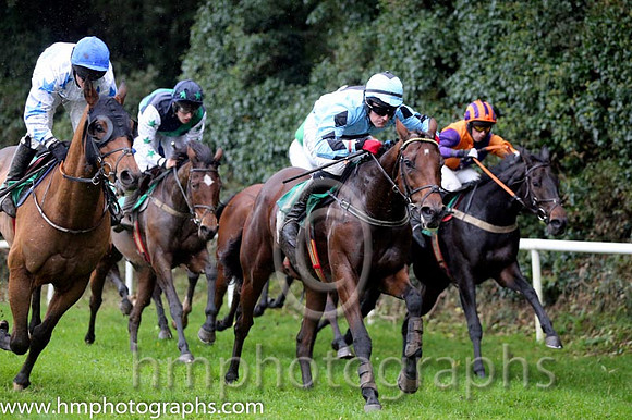 03 Darwins Theory and G N Fox - - 03rd (1 ,Light blue, dark blue diamond ) Trainer - J Queally