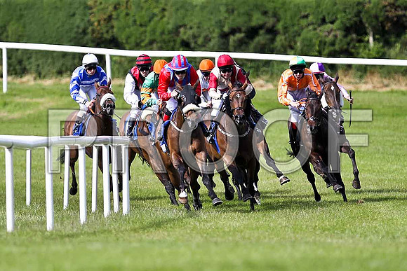 Sally Bawn , Academic accolade , Winner, Gonta Dowdies , Simon Bolivar , Black Rock Lake , Jeangorges 2nd, , Breezed Well , Pax a Punch  - FT8E1580-e