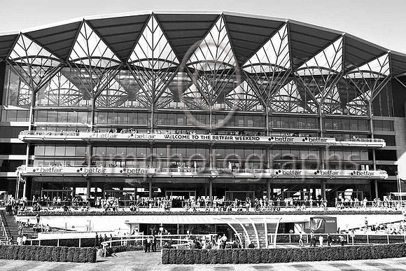 Ascot - IMG_9933-e2-b&w