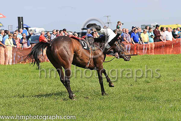 TULLYORIOR and R A Devine ( 10 , PURPLE; white sleeves; red cap,white star ) Trainer: Catherine Barry , Owner : Catherine Barry