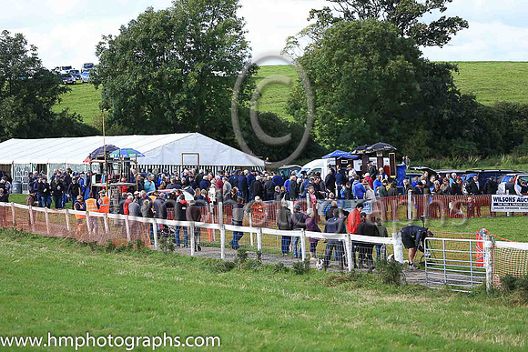 Spectators awaiting the arrival of a second ambulance before racing could commence at the Mid-Antrim Hunt Point to Point Steeplechases at Moneyglass.
