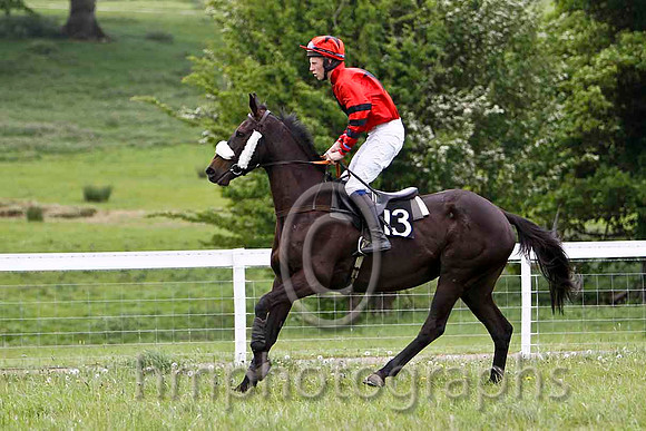 Nellie Rawley , PU, Jockey - S E O'Rourke - FT8E2322-e