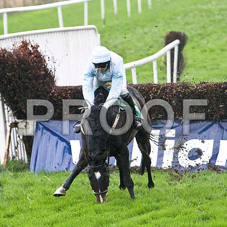 Strolling Home , 3rd - Jockey A P Thornton - FT8E5428-e