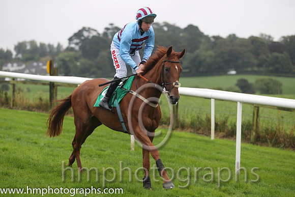 01 Hero De Villeneuve &amp; A E Lynch - Winner(9,blue &amp; maroon hoops)