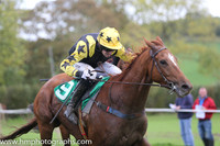 2014/10/18th - Race 1 - County Down Hounds Point to Point at Loughbrickland