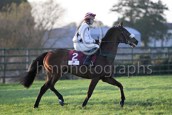 Clash Of Kings , 4th Jockey Mr N M Kelly - FT8E6731-e