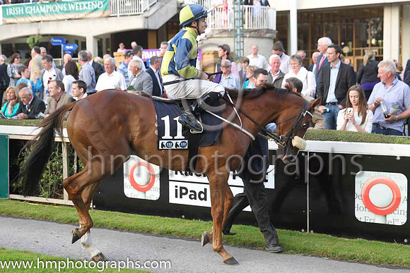 18 Rummaging and S Foley - - 18th (11 ,dark blue and yellow quartered ) Trainer - M Halfoth