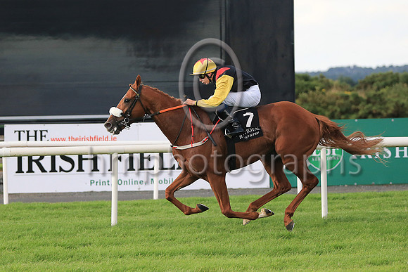 01st The Tartan Spartan  Ronan Whelan (7, black, red epaulettes) Trainer John Patrick Shanahan, Owner Thistle Bloodstock Limited
