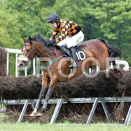 Mister Philson - Winner, Jockey Derek O'Connor - FT8E2494-e