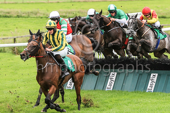01st Insane Bolt and D N Russell ( 9 , green, green and white sleeves ) Trainer - G Elliott , Owner - McDonnell's Bar Racing Syndicate