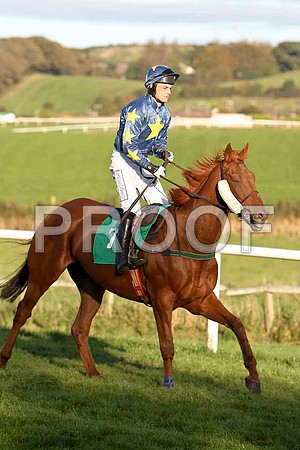 Moscow Towers , Jockey M Darcy - 7th - CU2D9388-e