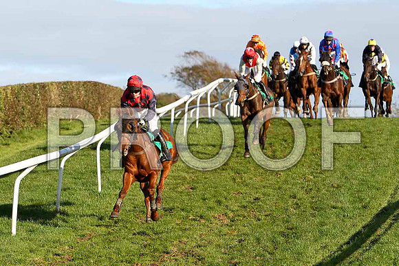 Oily Colman in the lead , Jockey M Darcy - PU - CU2D9359-e