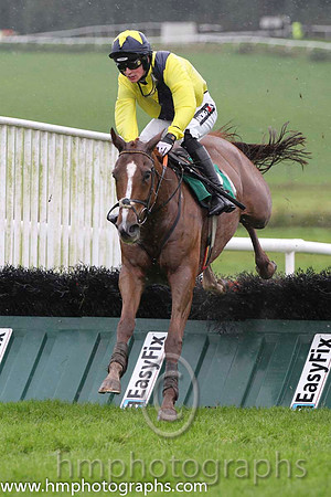 01 Old Kilcash & D E Mullins - winner (5, yellow, dark blue sash) - FT8E8919-25