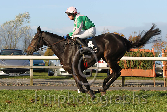 09 Kilbarry Beauty & P Townend - 9th (4, emerald green, pink chevron ) - FT8E9988
