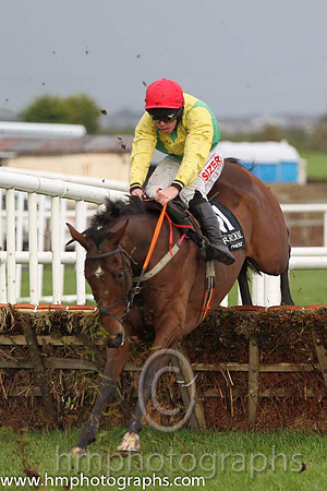 03 Shanahan's Turn & A E Lynch - 3rd (11, emerald green, yellow chevron) - FT8E0288-Edit-110