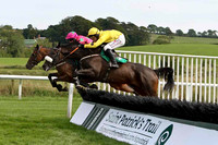 Rock of Braga (yellow) 11th, Jockey R M Power & Sound mac 10th, Jockey S G McDermott - FT8E3013-e