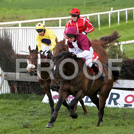 Metal Master, 5th, Jockey - L P Flynn -  FT8E3115-e