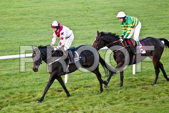 Clonbur - 5th - Jockey - Mr J P McKeown & Raise You Ten - 6th - Jockey Mr P Roche - CU2D0858-e