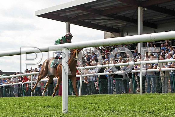 Information crosses the line in 2nd place, Jockey P Carberry - FT8E3073-e