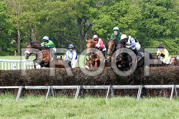 Fifth Race Div 2 - - CU2D9685-e