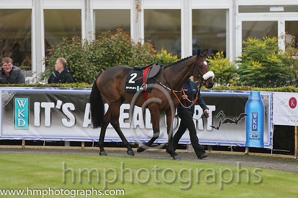 07 Tiger Roll and B J Cooper - PU - 07th (2 ,maroon white star ) Trainer - G Elliott