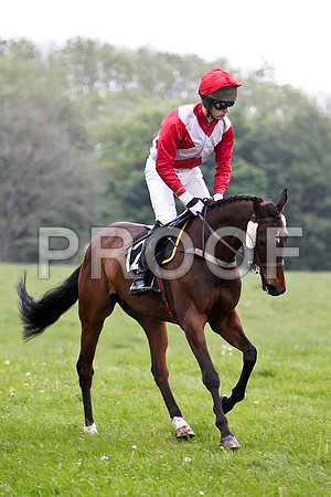 Knockans Breeze , 3rd, Jockey - P J Flood - FT8E2561-e
