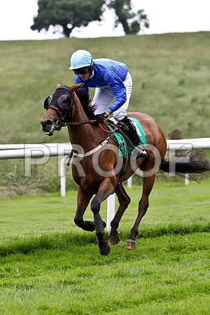 Clifton Four 12th, Jockey Mr D Macauley- CU2D0793-e