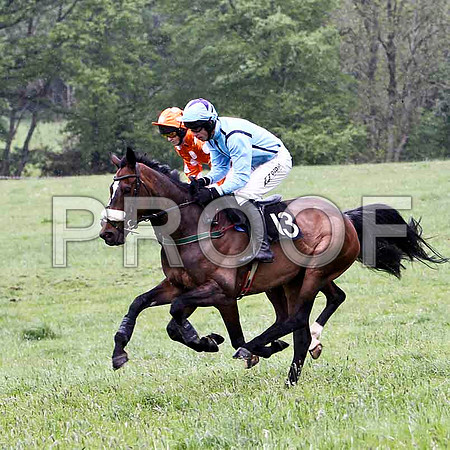 Nearly a Dream , 2nd, Jockey  - C Cullly & Lady Shirley , Winner, Jockey - Derek O'Connor - FT8E2637-e