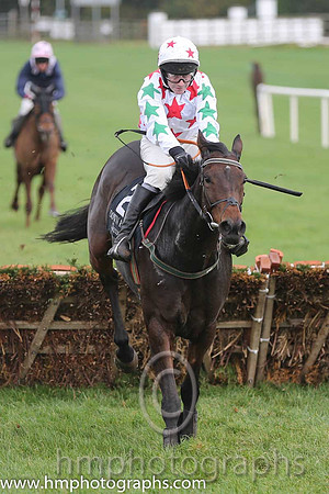 02 Carrigmoorna Rock and DJ Casey - - 02nd (2 ,white, red stars ) Trainer - R Tyner