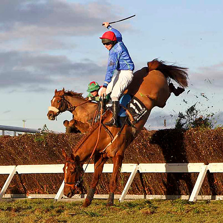 Rocklet (11) Fell - Jockey , M J Bolger - CU2D3277-e