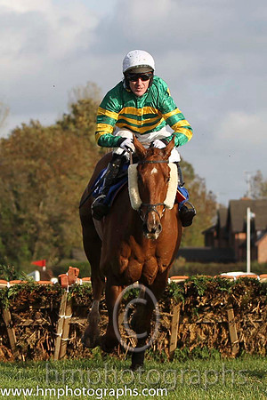 16 Dear Boss & A P McCoy - 16th (10, emerald green and orange hooped) - FT8E9940-63