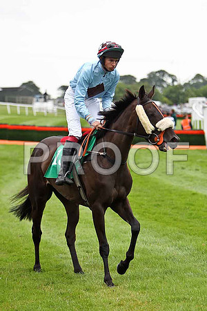 Dizzy Rascal 9th, Jockey A P Heskin - CU2D0824-e
