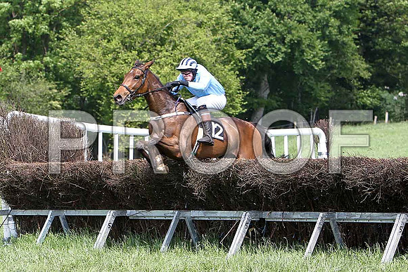 First Race - Pipers Bridge (12) 5th, Rider W Thompson - CU2D9553-e