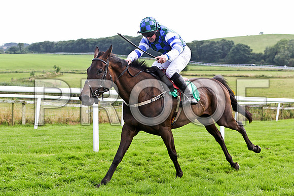 Marvelle Lady 5th, Jockey Mr S Crawford - FT8E3220-e2