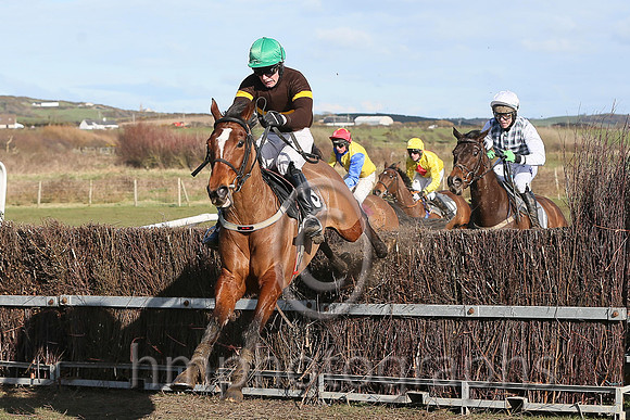 01st ISN'T SHE LOVELY and M J O'Hare ( 6 , BROWN,yellow hoop; brown,yellow armlet sleeves; emerald green cap ) Trainer: J.G. Cosgrave,, Owner : Pauline Whitten