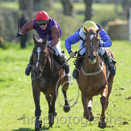 02nd Steel's Cotton ( 13 )  N McParlan - Trainer : I R Ferguson - violet, royalstewart tartan sleeves, red cap  01st Kinnacally ( 10 )  P Power - Trainer : Paul McAleese - black, white cross belts