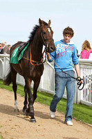 High Talk 7th, Jockey L McNiff - CU2D1722-e