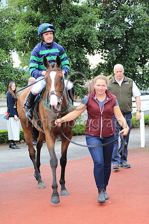 1st Minnie Dahill and R Walsh ( 10 , dark blue and emerald green hoops ) Trainer - T M Walsh , Owner - Micheal D Ryan