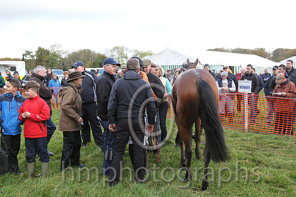 01st Bach De Clermont (Fr) and D Lavery ( 21 , ORANGE,black seams; orange,black seams sleeves; black cap ) Trainer: B.R. Hamilton,, Owner : Nigel Baring
